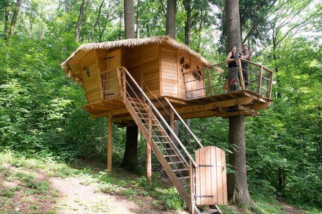 Treehouse