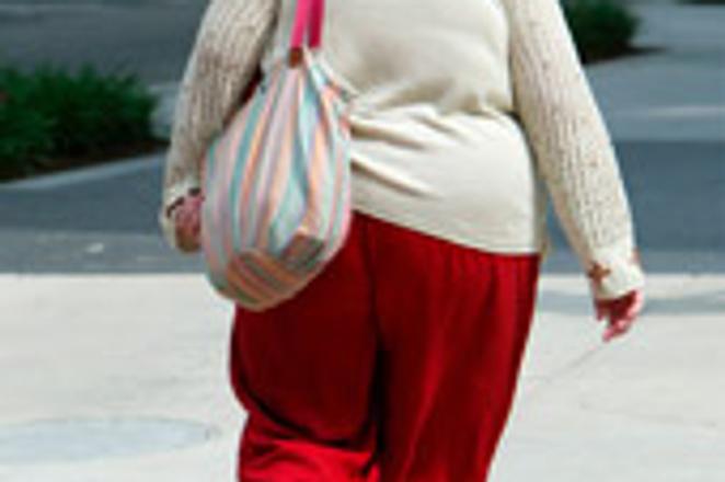 Unhealthy eating habits among Slovaks could lead to obesity
