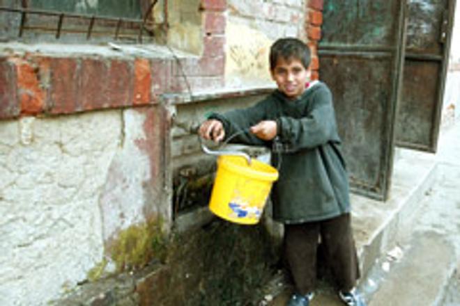 Roma issues crave the attention of NGOs.