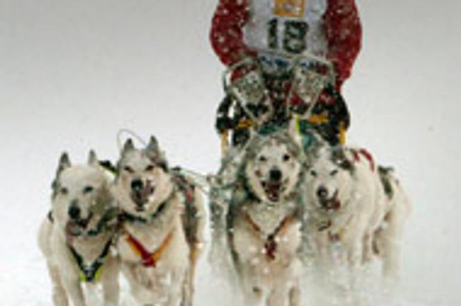 Dog sled racing has brought Donovaly some fame.