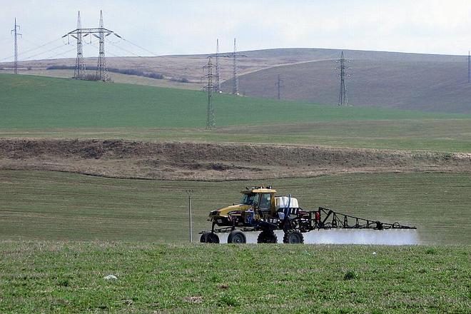 Most Slovak companies do not have money to buy land.