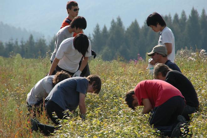 BISB students helping in the tree nursery. 
