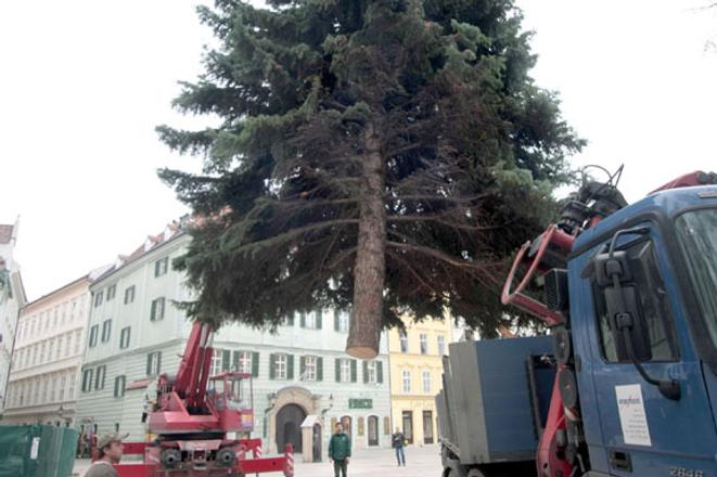 The Christmas tree at the Main Square is 15 m tall.