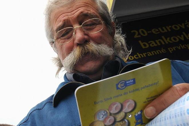 The public received information packs about the euro.