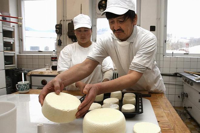 Mongolians have been making cheese from yak’s milk for centuries.