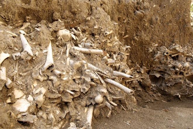 The remains of a large charnel house were uncovered near the church of St. Nicolas in Trnava.