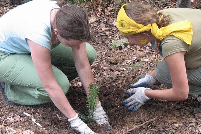 The environment is among the priorities of V4 cooperation.