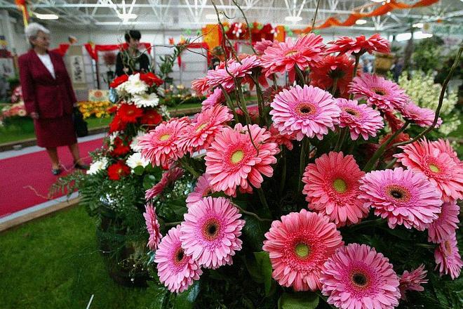 The annual Flóra fair in Bratislava attracts thousands of visitors every year. 