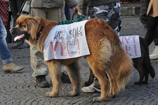 "I'm not a thing!" was the slogan of the march. 