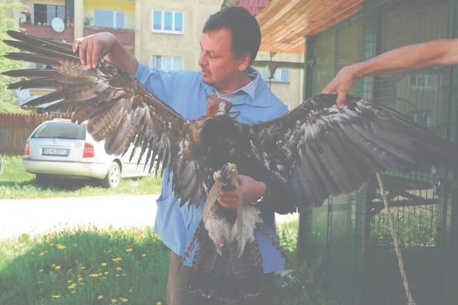 Vet Ladislav Šimák with his rare patient.