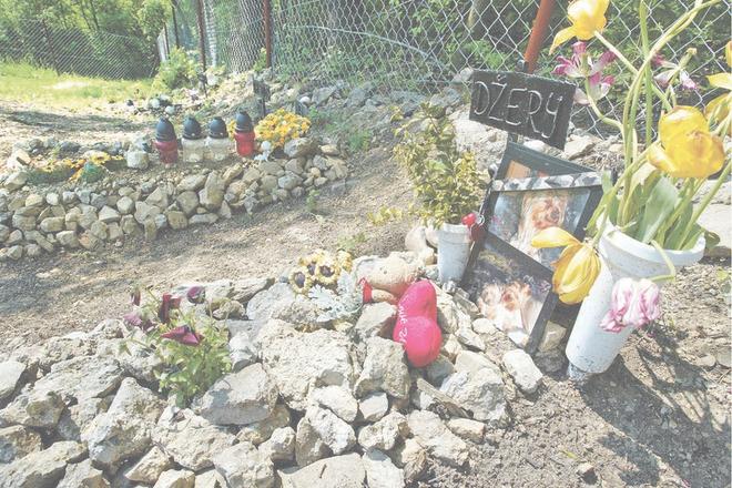 The pet cemetery in
Šútovce.
