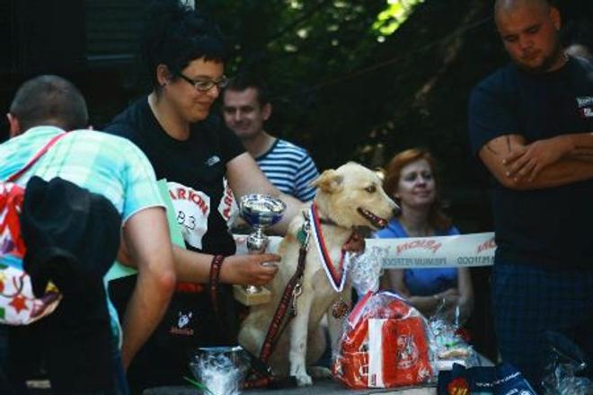 Absolute winner, The Most Likeable Dog 2012 - Thasso from Bernolákovo.  