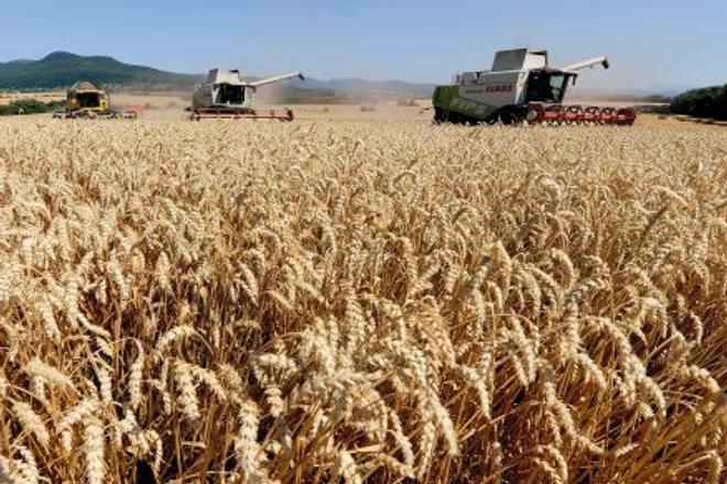 It will be easier for foreigners to acquire land in Slovakia.