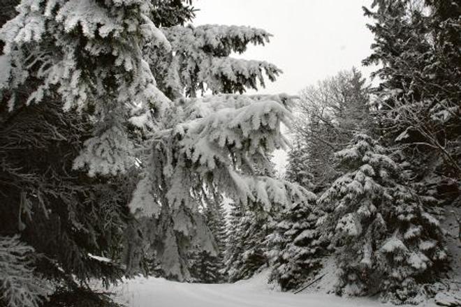 Winter came late this season.