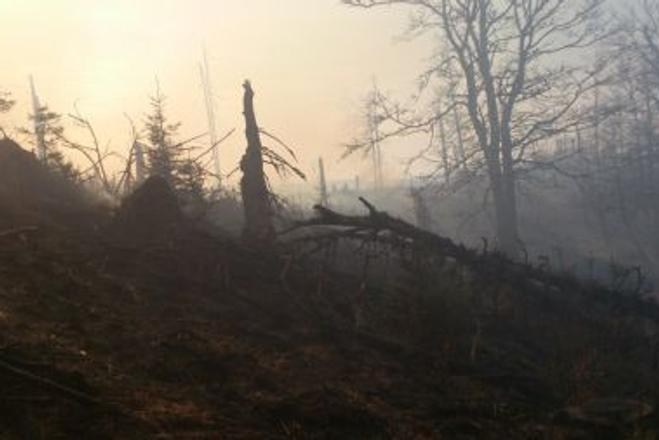 Betliar fire 