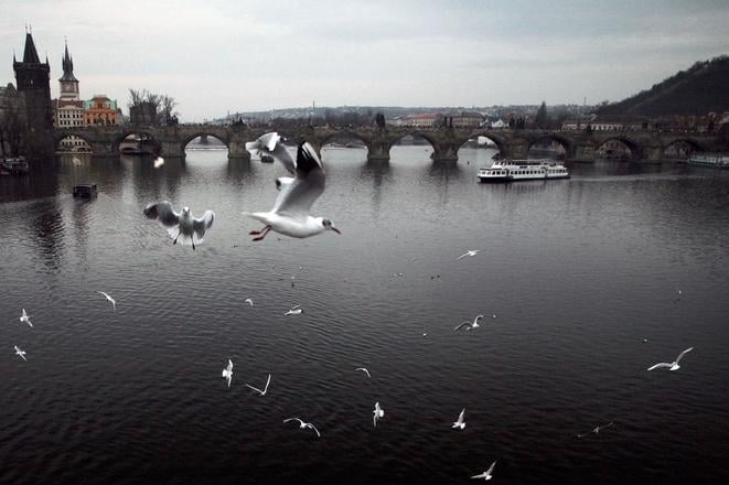 Prague.