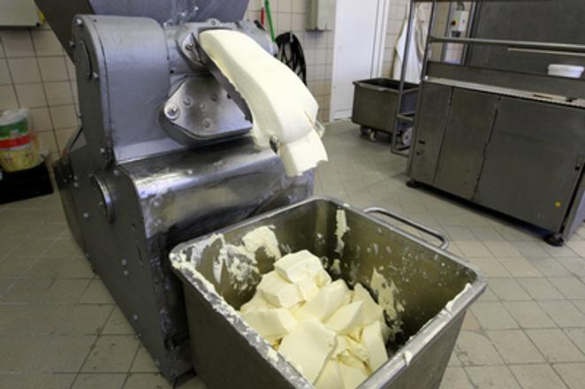 Cheese production, illustrative stock photo.