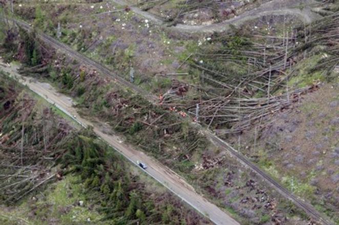 Previous gales have already damaged the forests in the High Tatras. 