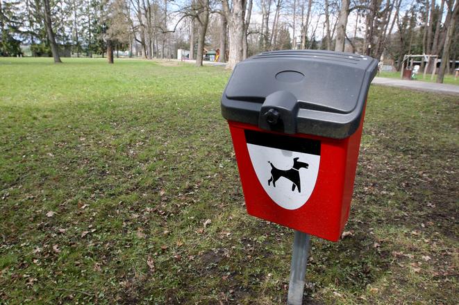 Preparing project, building an off-leash dog park, illustrative stock photo.