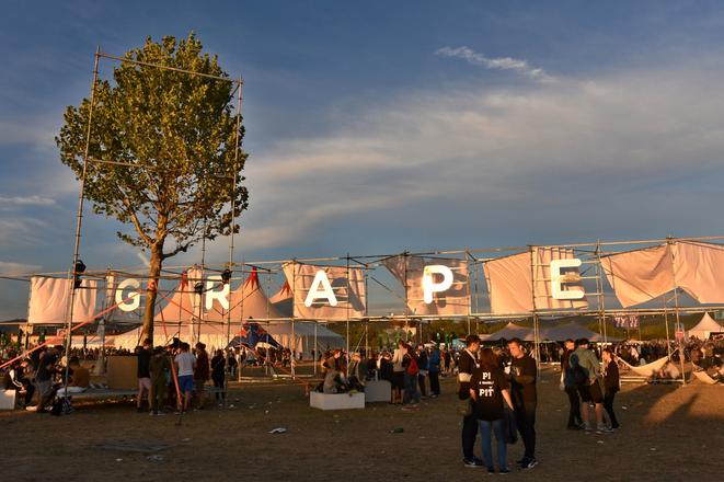 Grape festival