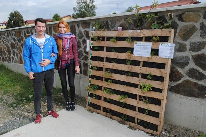 Matej, Barbora and their public herbal garden