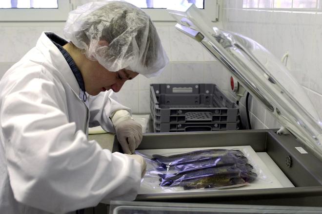 Packaging, illustrative stock photo