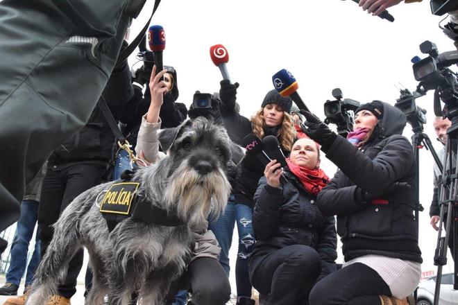 Rita Ora joins the Slovak police. 
