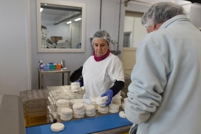 New cheese factory opened in Senica, April 12. 