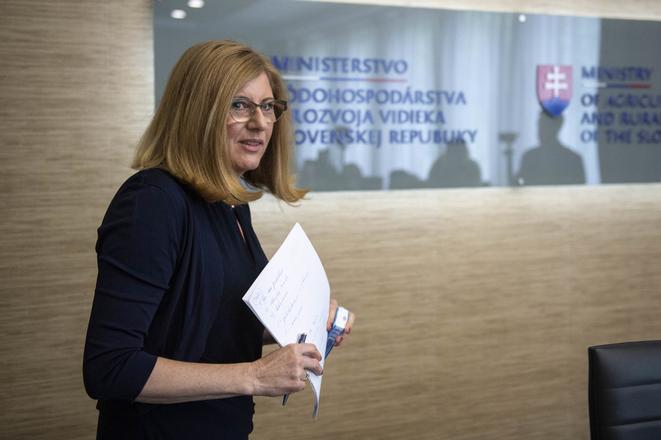 Agriculture Minister Gabriela Matečná