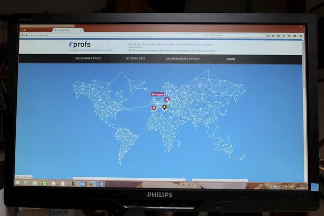 IFprofs network