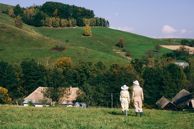 The bee country (Včelí kRaj)