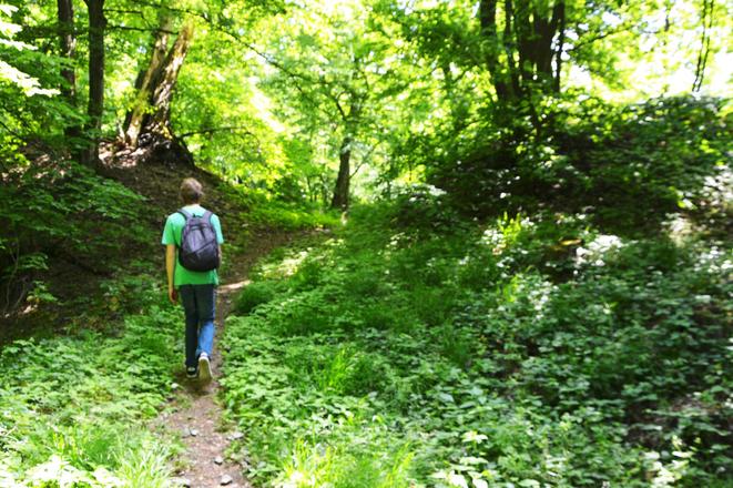 Students visited Svätý Jur as part of their European Wanderer project