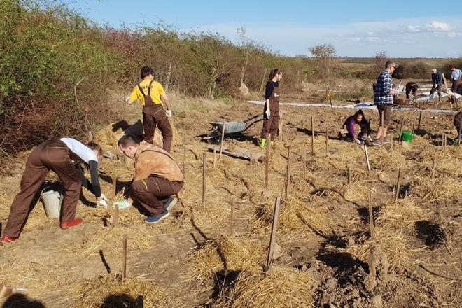 Volunteers take part in the Father Forest Plants a Forest project in 2018 to plant a new forest near Modra, western Slovakia