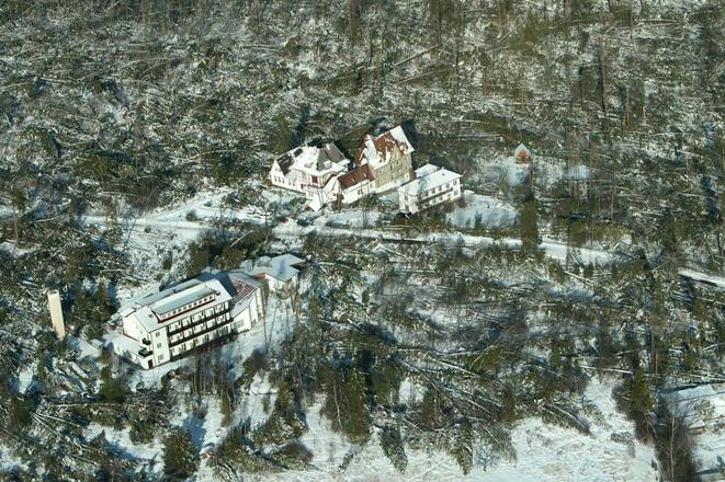 Slovakia was hit by a strong windstorm on November 19, 2004, causing massive damage to nature and people 
