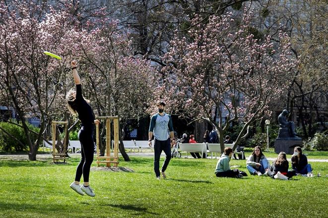 People can report insufficiently mowed lawns on the city of Bratislava's official website. 