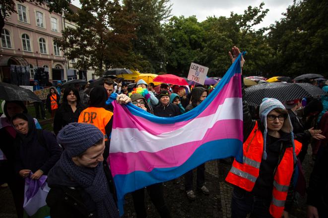 Marchers holding a transgender pride flag during a Pride event. Completion of the legal process accompanying gender transition would be obstructed under a proposed new law.