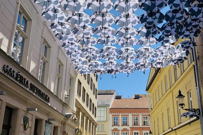 The Umbrella Street near Nedbalka Gallery