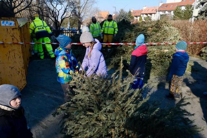 Volunteer for the New Year's Mulching Event in Janko Kráľ Park.