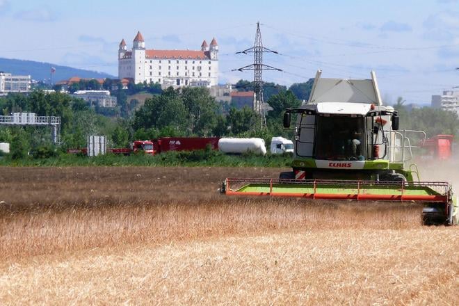 Harvest in Berg, Austria.