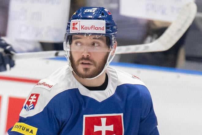 Na snímke slovenský hokejový reprezentant Marko Daňo