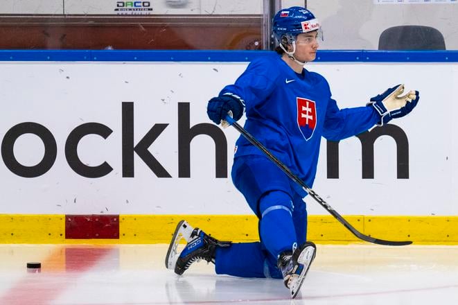 Na snímke hokejový reprezentant SR Dalibor Dvorský počas tréningu pred zápasom A-skupiny Fínsko - Slovensko.