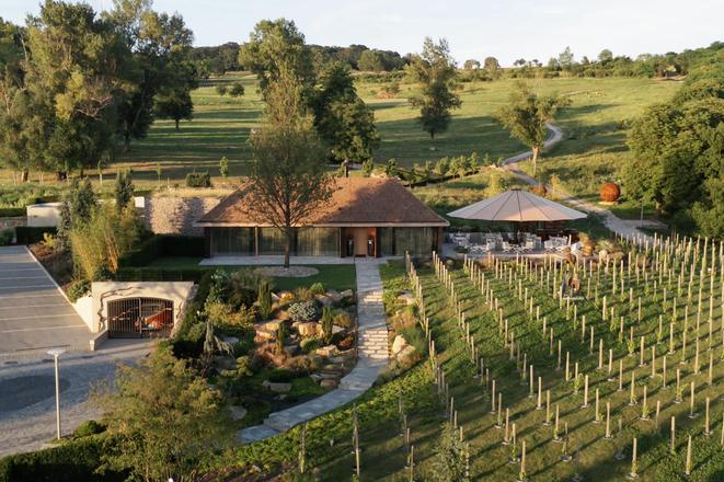 The experiential restaurant ECK in Bratislava is surrounded by vineyards with a view of Devín Castle.