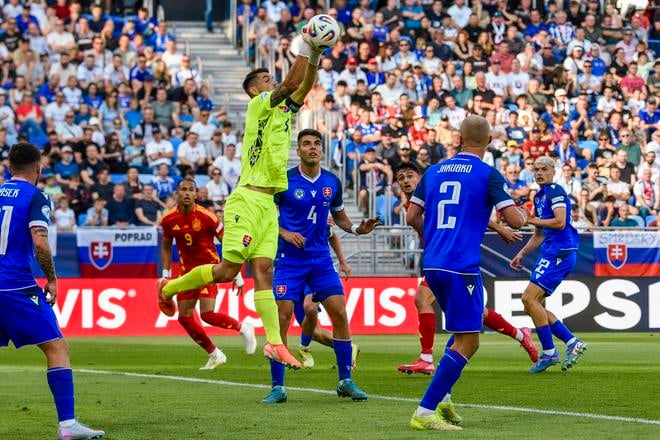 Ľubomír Belko v zápase proti Španielsku.