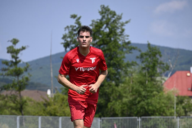 Viktor Šimič