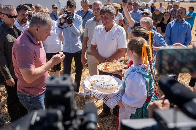 Prime Minister Robert Fico at the Radošinka cooperative harvest near Veľké Ripňany.