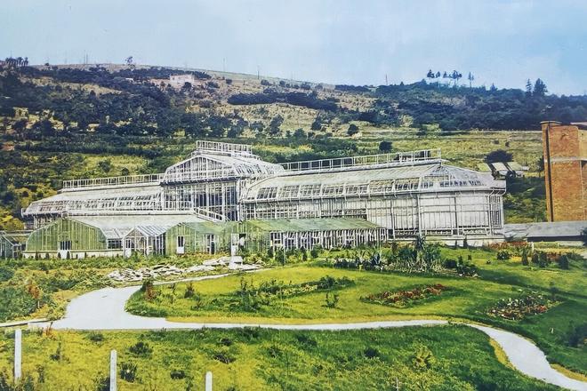The Košice Botanical Garden