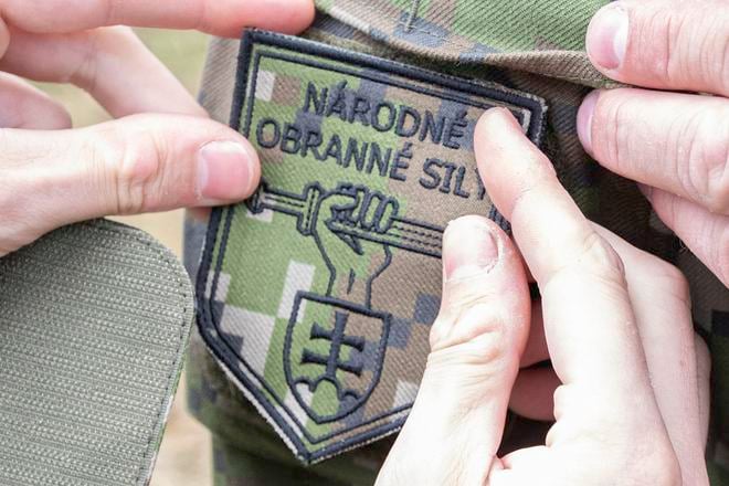 The National Defence Forces logo