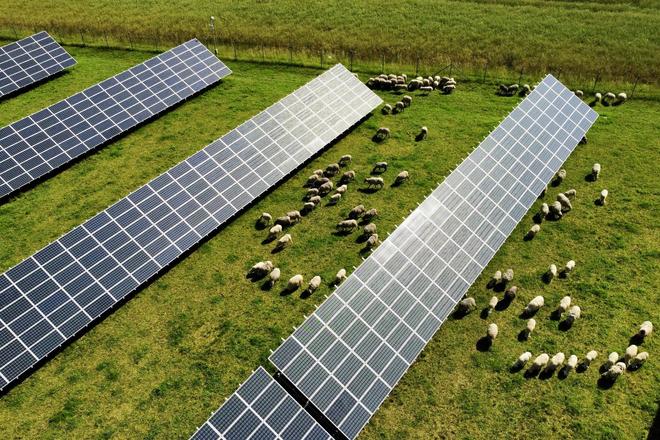 Austrian renewable energy company Enery is pushing ahead with major new solar investments in Slovakia.