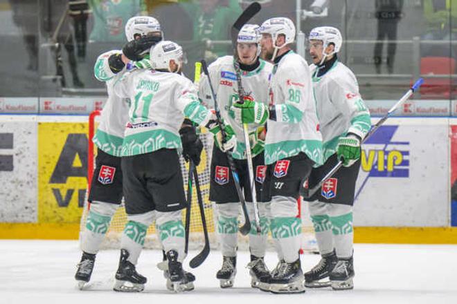 Hokejisti HK Skalica v minulej sezóne prekvapili postupom do finále SHL, kde podľahli hráčom Prešova.