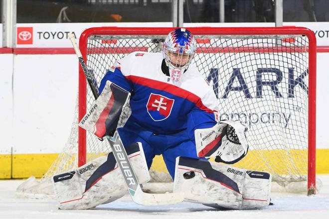 Michalovi Prádelovi k úspešnému draftu do NHL pomohli aj skvelé výkon v drese slovenskej reprezentácie na MS do 18 rokov.